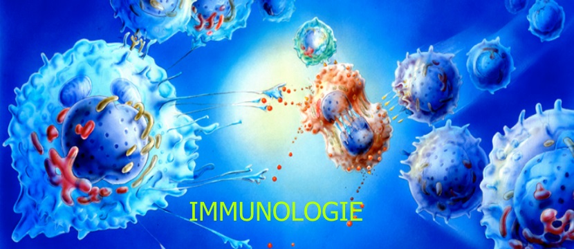 immuno