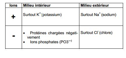 potent ions