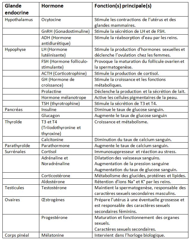 tableau hormones