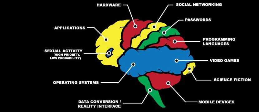 cerveau2