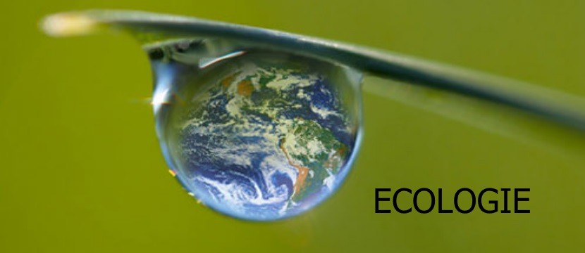 ecologie